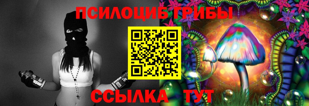 Псилоцибиновые грибы мицелий  Вход с VPN  Тутаев  Псилоцибиновые грибы Magic Shrooms 
