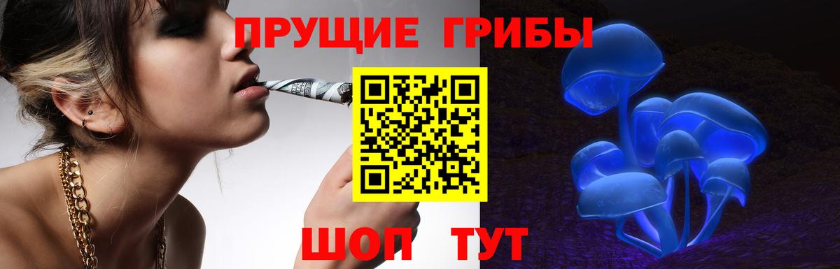 Псилоцибиновые грибы GOLDEN TEACHER Тутаев